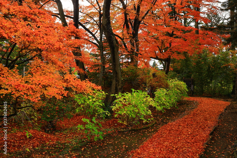 紅葉の一ノ倉邸 紅葉の一ノ倉邸