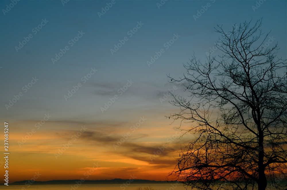 Sunset with red sky background