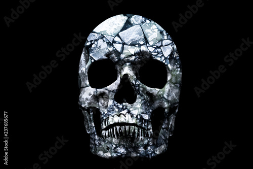 The skull which blocks of ice inside on a black background