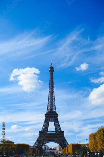 Fototapeta Naklejka Na Ścianę i Meble -  Eiffel tower on blue sky and yellow foliage background