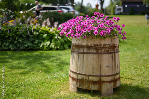 Barrel with flowers  garden decor