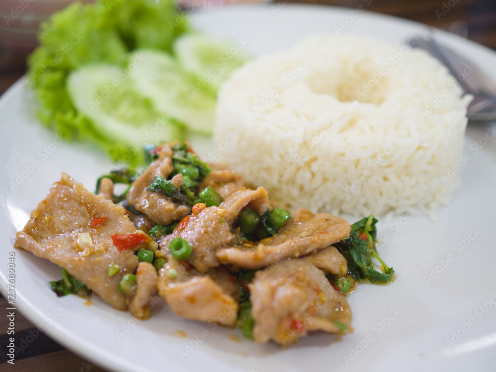 Stir-fried pork and basil with rice, Thai spicy food basil pork fried rice recipe (Krapao Moo) Stir-fried pork and basil with rice, Thai spicy food basil pork fried rice recipe (Krapao Moo)