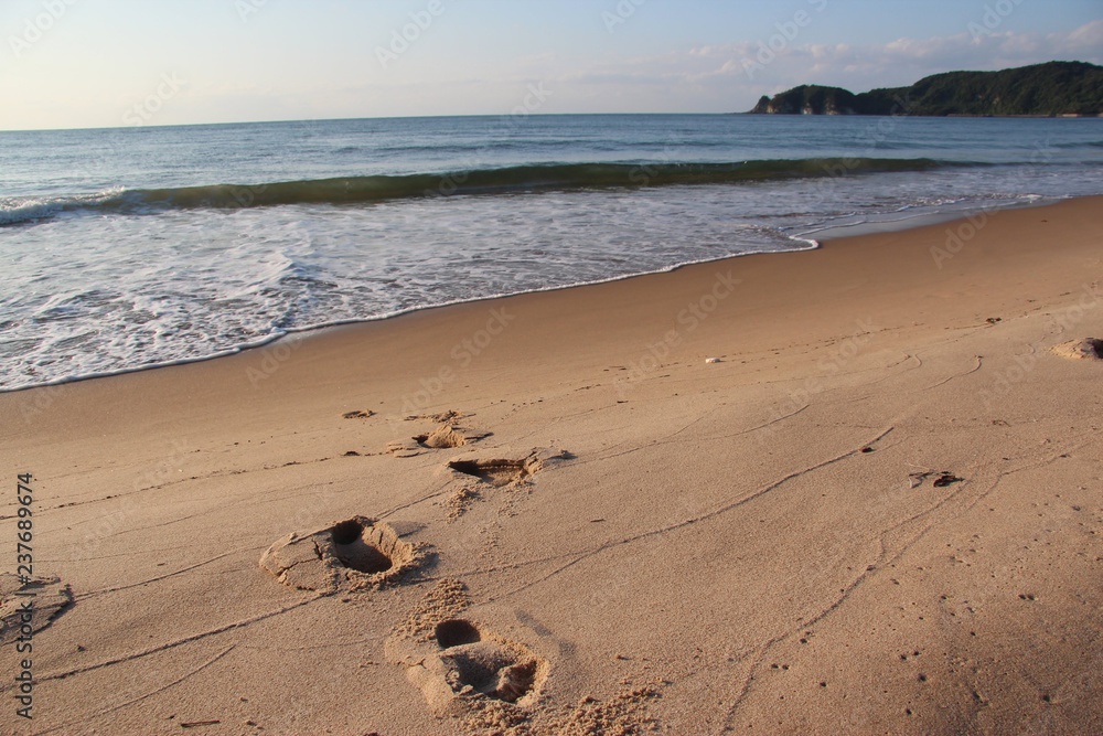 Fototapeta premium beach in Japan