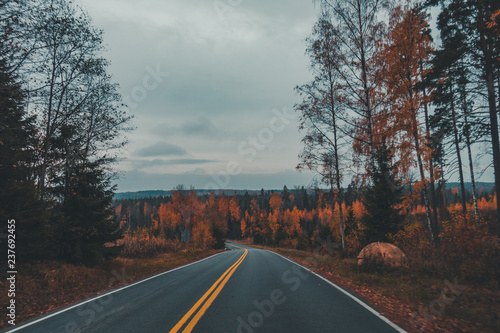 Driving through a autumn landscape in Finland on a moody evening