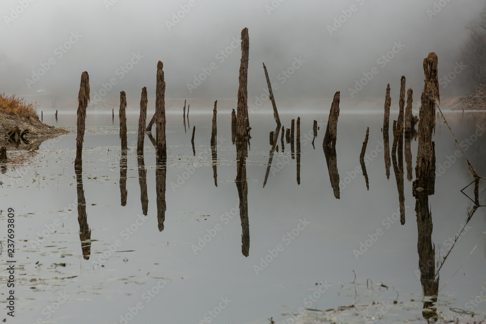 decaying trees, their reflections, and fog on the Sülüklü Göl (Leech Lake) in the Bolu mountains of Turkey
