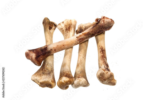 bone isolated on white background