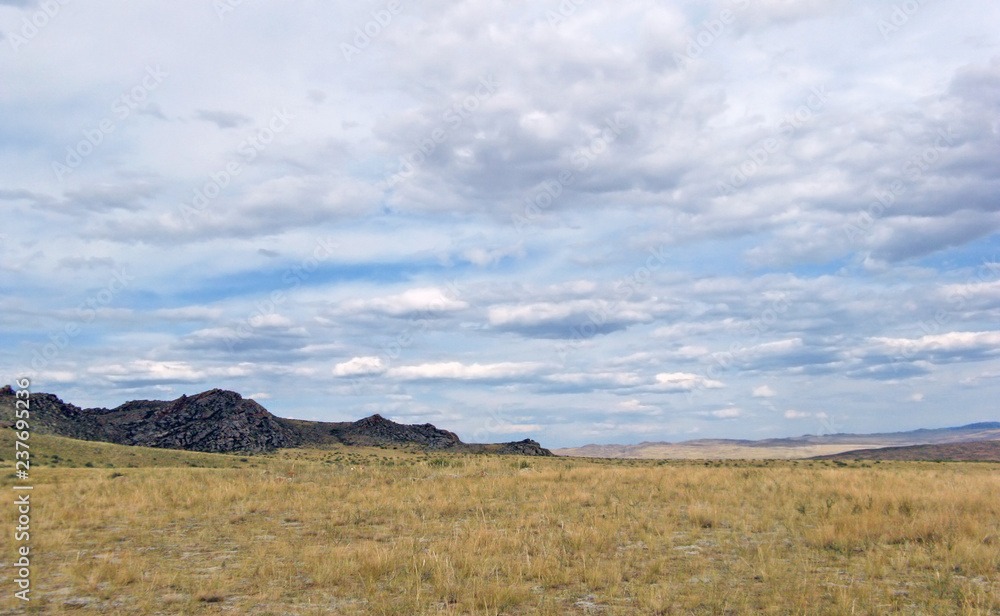 Fototapeta premium Wide steppe with yellow grass under a blue sky with white clouds Sayan mountains Siberia Russia