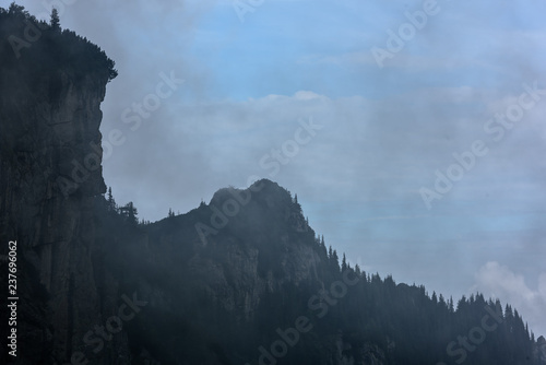 Fog in hight mountain landscape. Overhanging cliffs with tree.