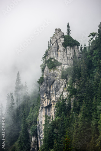 Fog in hight mountain landscape. Overhanging cliffs with tree. © krstrbrt