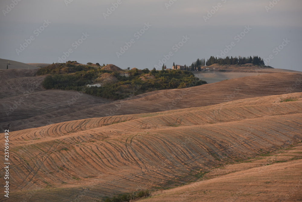 Obraz premium Tuscany field