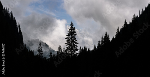 High mountain landscape whit trees silhouette in the Southern Carpathians of Romania. Foggy mountain landscape. photo
