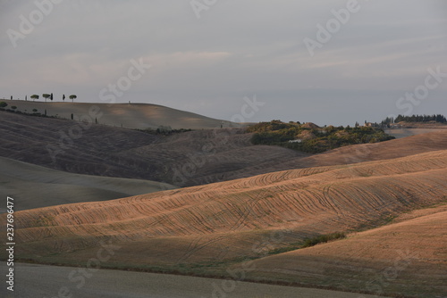 Tuscany field