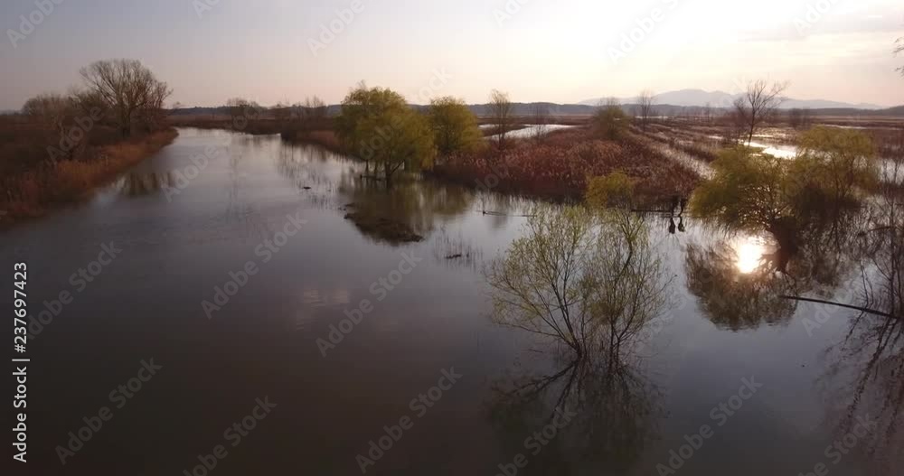 Aerial, beautiful giant swamp in the nature reserve Padule di Fucecchio situated in Tuscany, Italy on sunset in the fall Aerial, beautiful giant swamp in the nature reserve Padule di Fucecchio situated in Tuscany, Italy on sunset in the fall