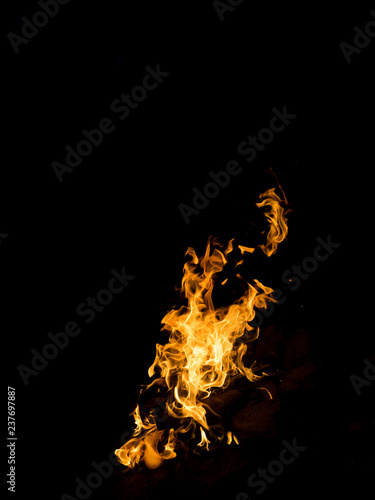 Fire close-up and red orange yellow color detail texture and abstract shape on black background. © Evgeniy