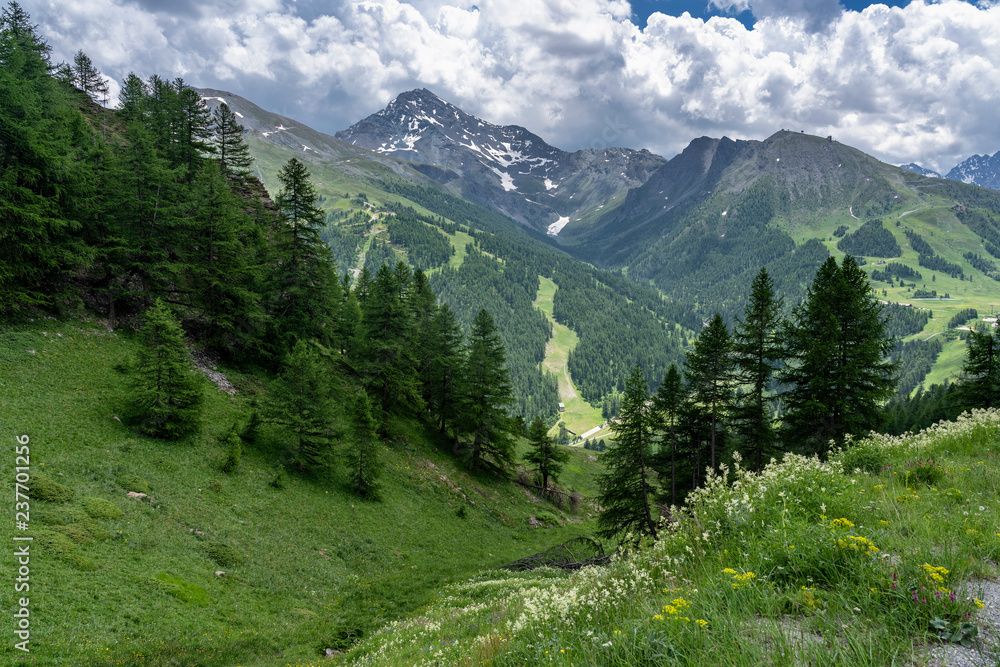 Fototapeta premium Mountain landscape along the road to Colle dell'Assietta
