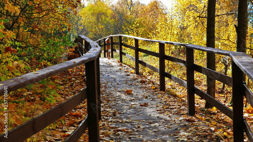 Wooden walkway, with railings in the autumn forest