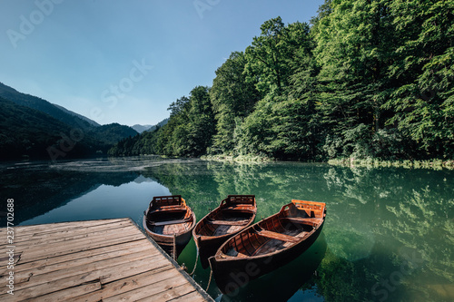 tree wooden boats on lake © Rasto