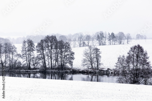 Winter landscape with white snow covered fields, trees and hedges