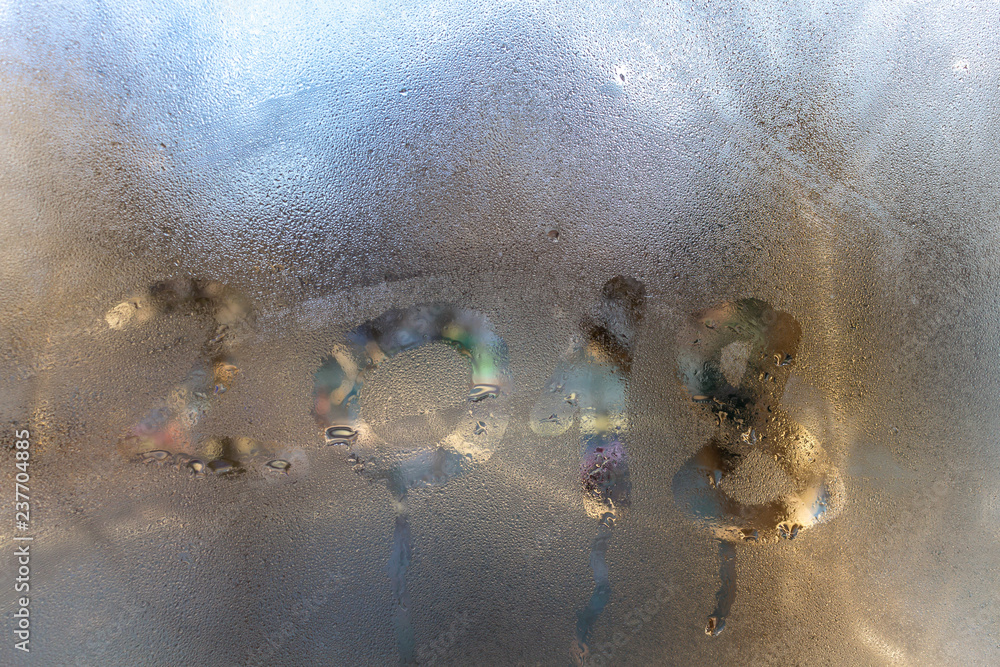 Fototapeta premium goodbye 2018 .message on the glass