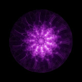 Abstract Purple Flower Isolated On Black Background