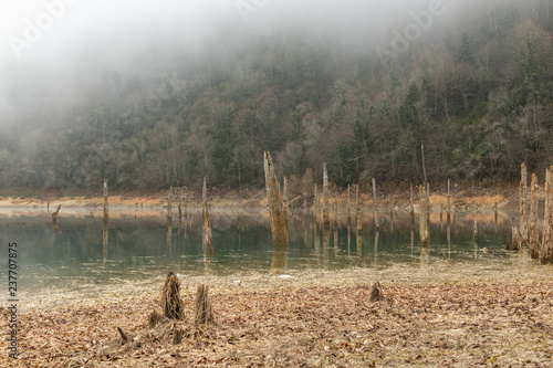 Photography Sülüklü Göl (Leech Lake) with fog and decaying trees in the Bolu mountains of Tu