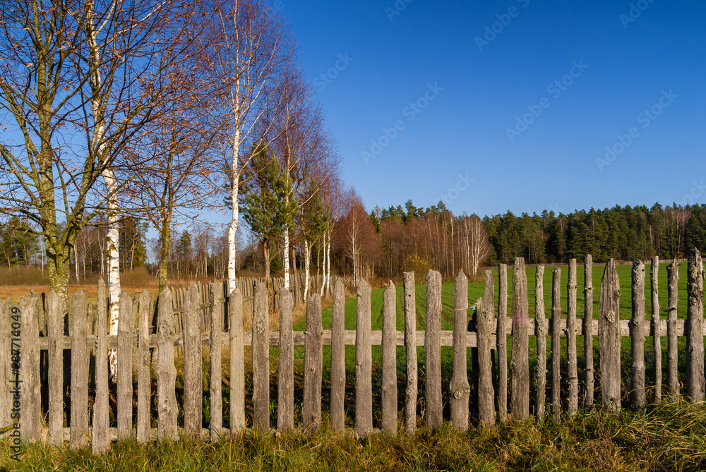 Fototapeta premium Okolice Puszczy Knyszyńskiej - PODLASIE - Polska