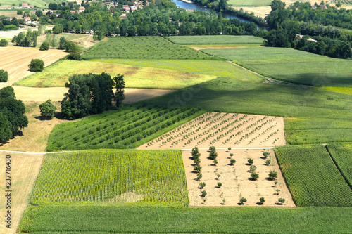 Fields at Dordogne area in Nouvelle Aquitaine, France photo