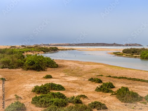 Coast of Diabat near Essaouira  Morocco