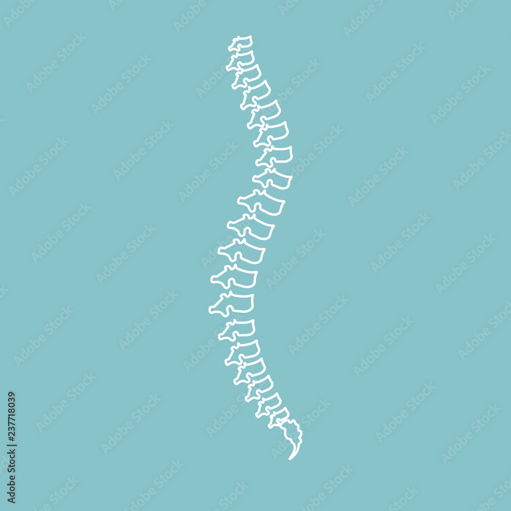 Vector illustration white spine diagnostic symbol, design, sign on blue background. Vector illustration white spine diagnostic symbol, design, sign on blue background.