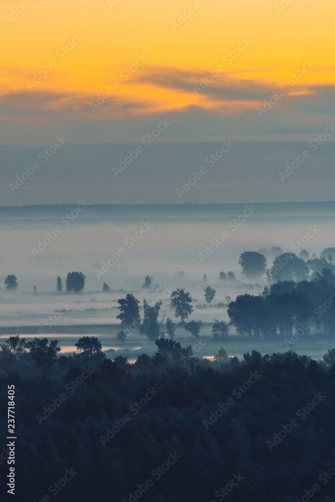 Obraz premium Mystic view on forest under haze at early morning. Mist among tree silhouettes under predawn sky. Gold light reflection in water. Calm morning atmospheric minimalistic landscape of majestic nature.