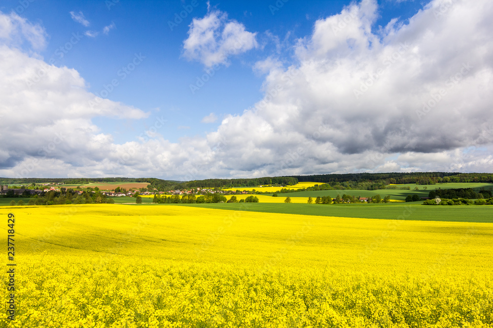 Spring rural fields, green and yellow. Amazing countryside view, colorful, fresh air, amazing blue sky and clouds. Beautiful scene, full of sun and love. Welcoming for adventure, hike, travel, cycle.