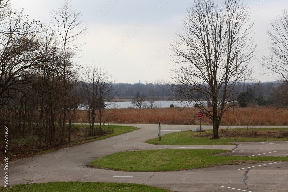 A view of the parks landscape and the lake in background.