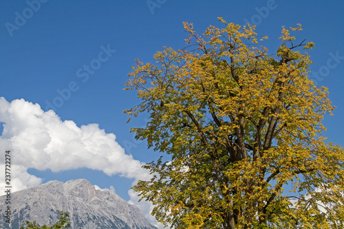 Ein Herbsttag in Mieming photo