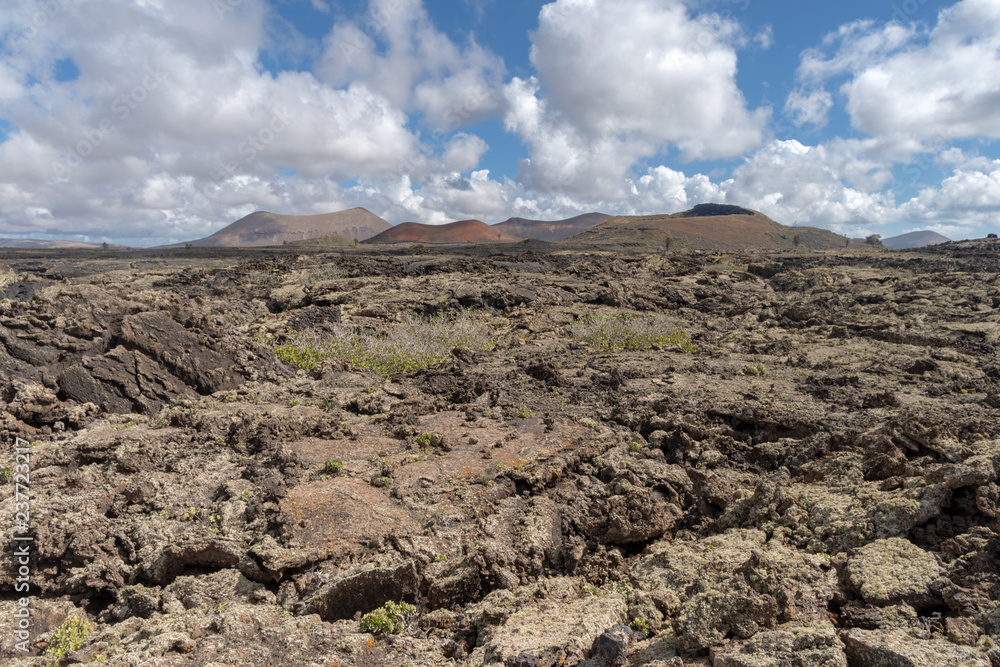 Landscape of volcanic rock, Lanzarote Island, Canary Islands, Spain