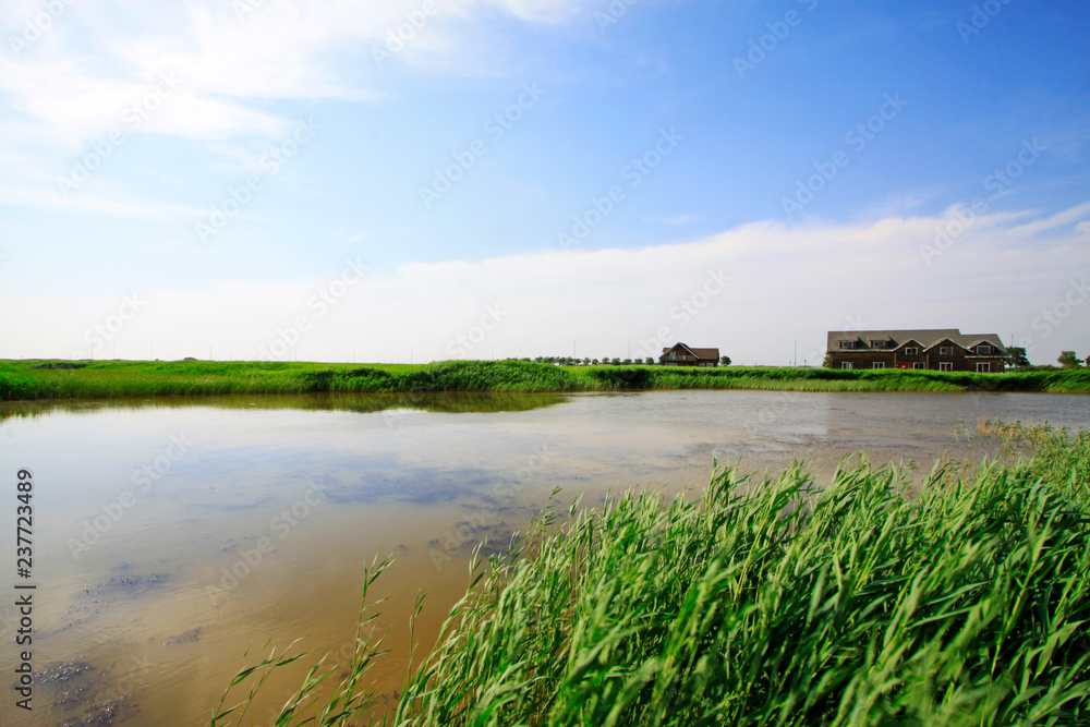 Hebei caofeidian golf course landscape