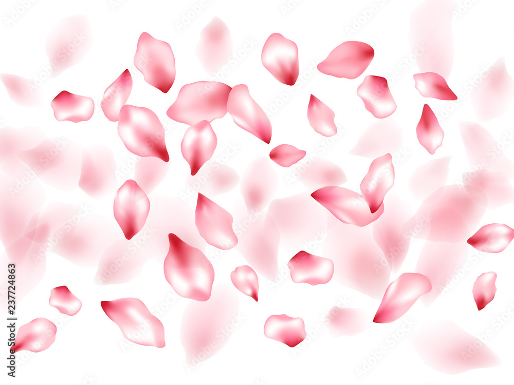 Pink sakura flower flying petals isolated on white vector background. Pink sakura flower flying petals isolated on white vector background.