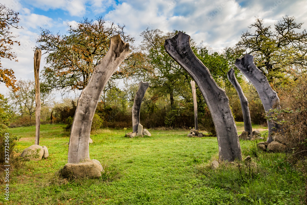 wooden sculptures in the forest of Tuscany wooden sculptures in the forest of Tuscany