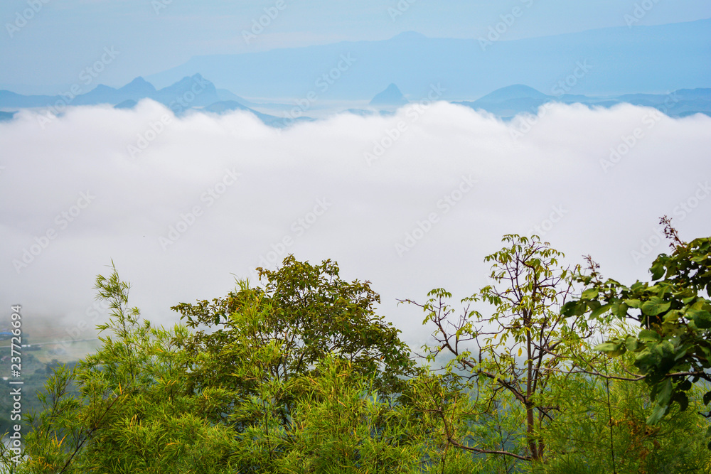 Morning scene fog over misty landscape / Beautiful morning with fog on hill forest mist