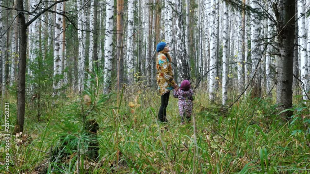 Mom and her little daughter are walking in the forest. Autumn time. Mom and her little daughter are walking in the forest. Autumn time.
