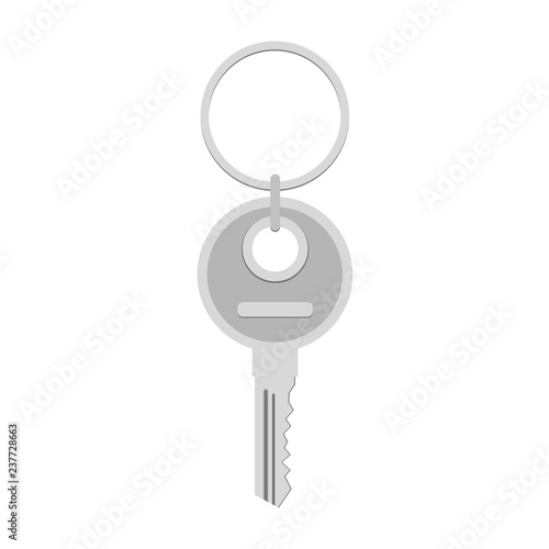 Key icon. The key to the lock, the key to the house, door, or car. Vector Illustration.