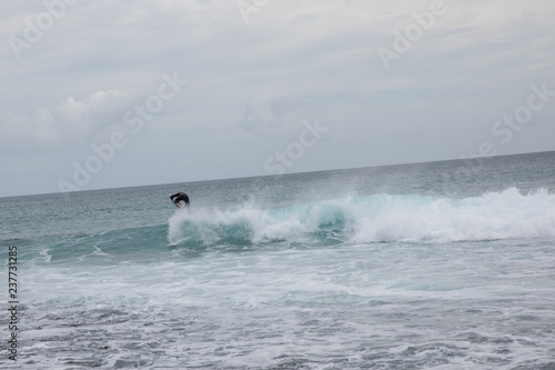 Obraz na płótnie Surfer in Fuerteventura, Canary Islands
w salonie