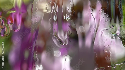 Defocused pink view through wet window. Water dripping on flat transparent glass in slow motion close up. Amazing abstract natural floral background. High speed camera shooting without post processing