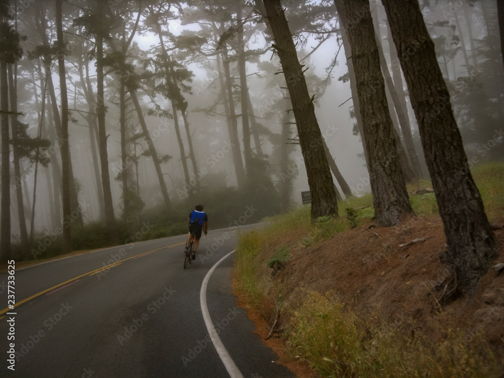 cyclists on the road in california