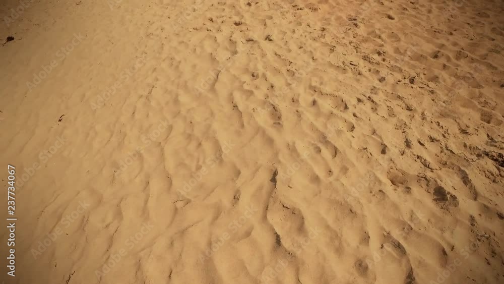 Footprints, seashore and sandy beach Footprints, seashore and sandy beach
