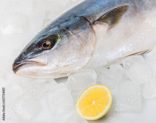 fresh raw tuna fish