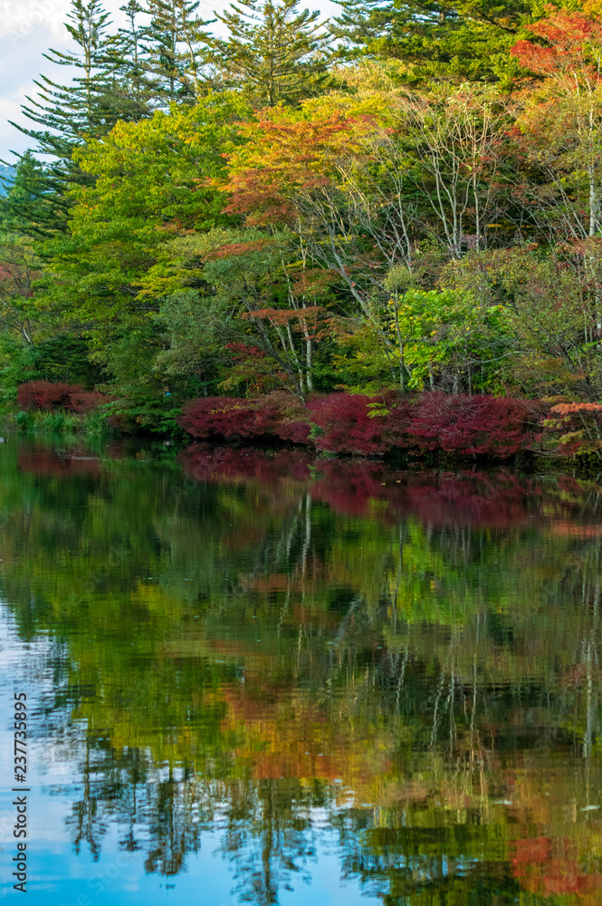 紅葉の雲場池