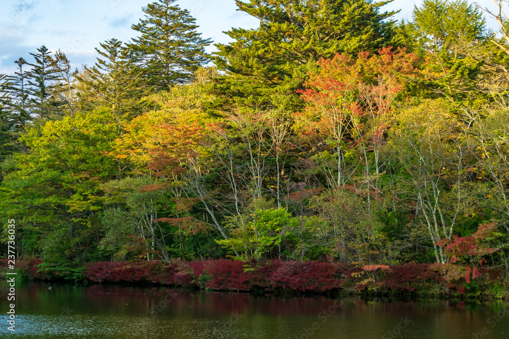 紅葉の雲場池 紅葉の雲場池