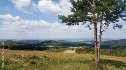 Fototapeta Naklejka Na Ścianę i Meble -  Beskidy mountains in Poland