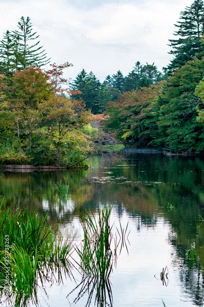 紅葉の雲場池 紅葉の雲場池