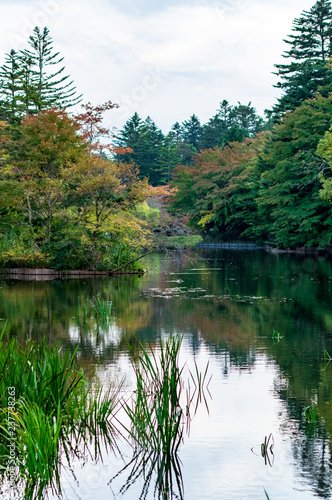 紅葉の雲場池